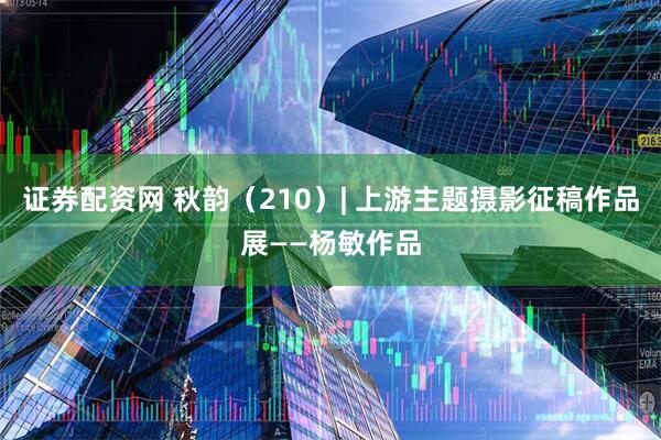 证券配资网 秋韵（210）| 上游主题摄影征稿作品展——杨敏作品